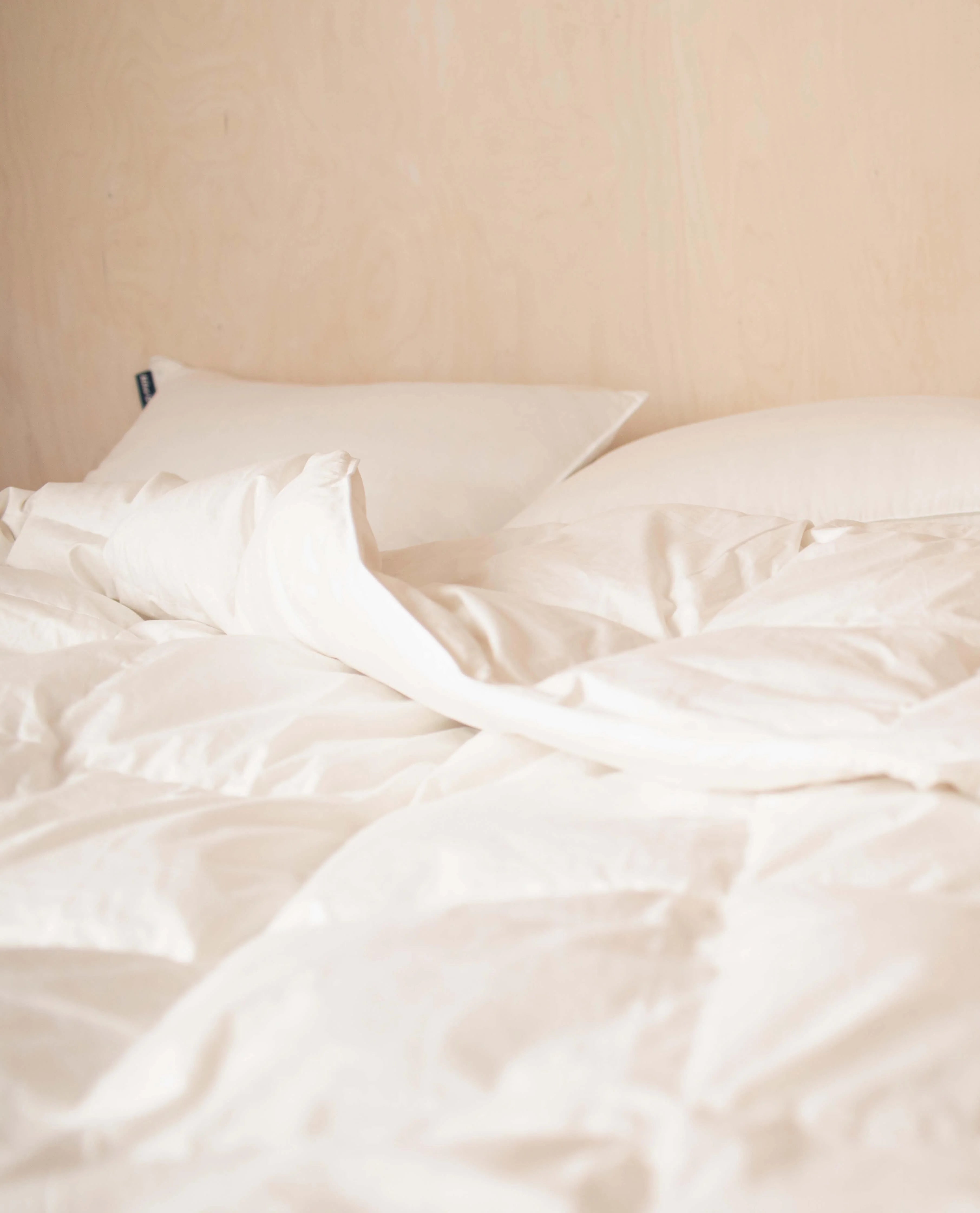 Recycled Down Pillow