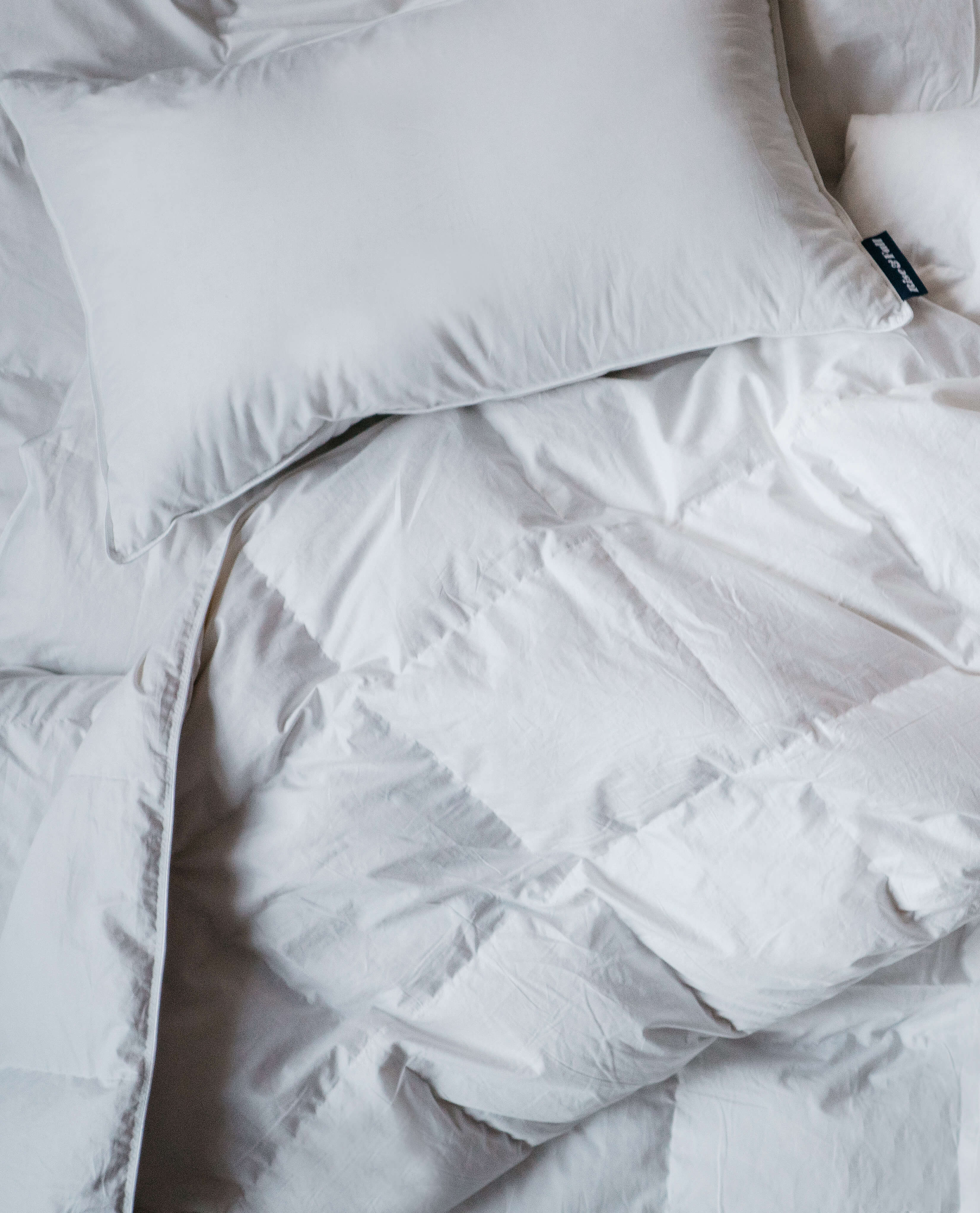 Recycled Down Pillow